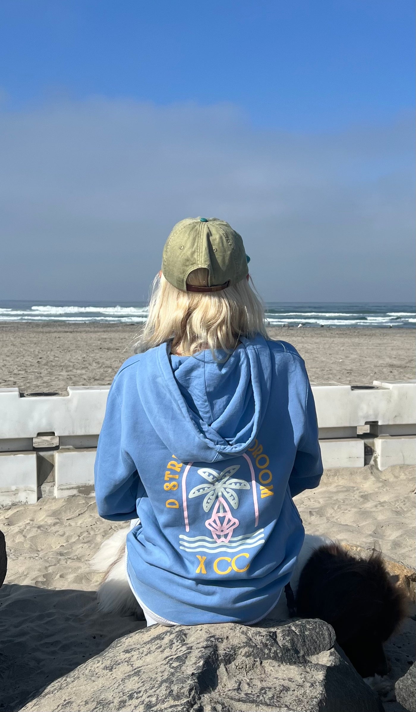 CC Cap - D Street boardroom x CC's clothing line