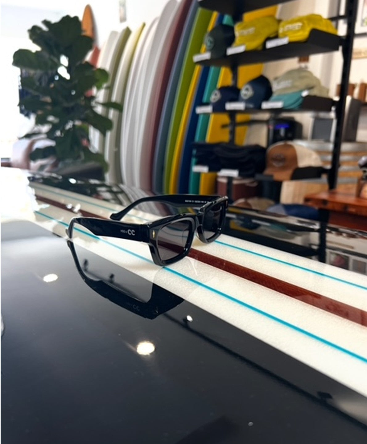 CC Sunglasses - D Street boardroom x CC's clothing line